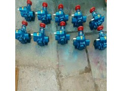 河北华潮KCB系列齿轮泵KCB-300图2