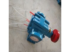 河北华潮KCB系列齿轮泵KCB-1200图2