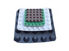 阜阳市地下室防潮排水板详细咨询图2