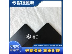 中山市人工湖填埋场用土工膜型号齐全图3