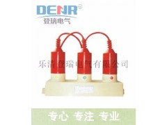 TBP-B-10.5过压保护器,10kv过电压保护器型号图1
