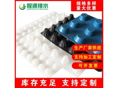 30mm屋顶绿化疏水板+宜春防水板厂家合作共赢图3