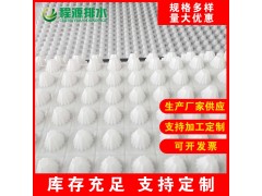 贵州车库/屋顶花园排水板稳定性好 现货生产图1