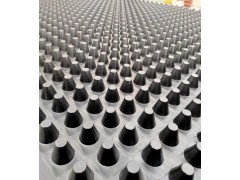 重庆50mm塑料疏水板-程源品牌排水板/型号齐全图1