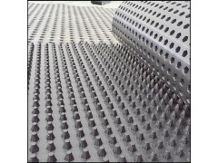 重庆50mm塑料疏水板-程源品牌排水板/型号齐全图2