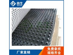 惠州市高密度聚乙烯排水板型号齐全图3