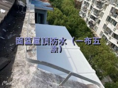 钢结构金属彩钢瓦屋面漏雨问题找固蓝防水解决 修不好不收费图2