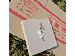 辽宁耐酸瓷板辽宁耐酸砖图4