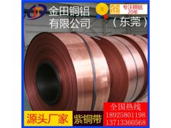 t8紫铜带，t4高韧性无铅紫铜带/t6耐腐蚀紫铜带图1