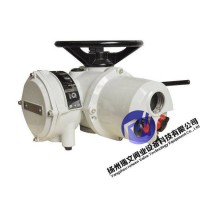 罗托克电动执行器,罗托克电动头电动装置