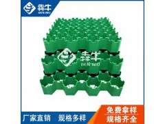 韶关市园林绿化塑料植草格型号齐全图1