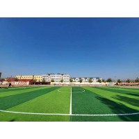 广东人造草坪足球场施工