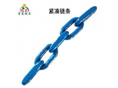 g80链条生产厂家 多品种吊装船用起重链条 矿用输送紧凑链条图4