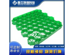 盐城市hdpe护坡绿化植草格详细咨询图1
