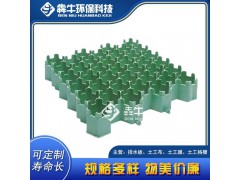 盐城市hdpe护坡绿化植草格详细咨询图2