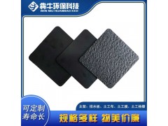 广州市黑色HDPE防水防渗土工膜图3