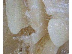 塘厦塑胶回收系列_东莞市环宇再生资源回收公司图1