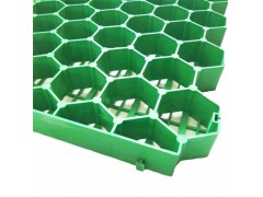 池州停车场园林绿化植草格量大从优图3