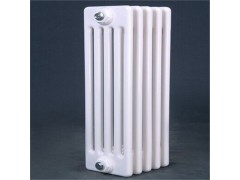 GZ506-1.0型 钢制柱型散热器 钢管五柱暖气片图2