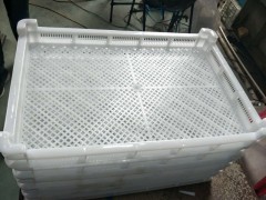 3号塑料冷冻盘图2