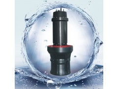 天津轴流泵 QZB系列轴流泵 排污式轴流泵图2