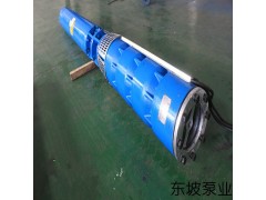 天津井用潜水泵  井用热水潜水泵 井用潜水泵型号图5