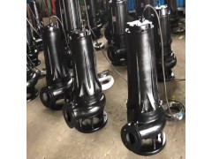 排污泵 天津热水排污泵 污水潜水泵 不锈钢排污泵图4