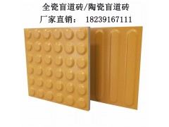 众光供应广西400陶瓷盲道砖图1