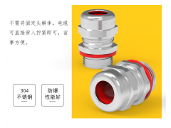 WYD品牌 不锈钢V0级阻燃接头304防水格兰头NPT3/4图3