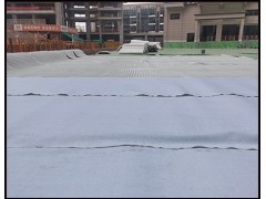 江苏绿色抗压型HDPE疏水板/隔根排水板图2