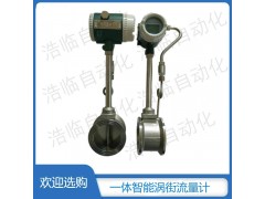 内蒙古蒸汽流量计 DN80智能涡街流量计图2