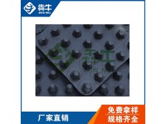 河池3公分塑料排水板款式新颖图2