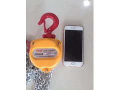 3吨250公斤手拉电动葫芦批发价图1