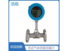 内蒙古煤气流量计 浩临气体质量流量计图1