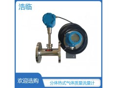 内蒙古煤气流量计 浩临气体质量流量计图2