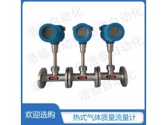 内蒙古煤气流量计 浩临气体质量流量计图3