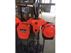 定做30吨12米电动倒链厂家图1