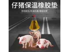 小猪橡胶垫仔猪保温垫保产床保温箱仔猪保育加厚防滑橡胶垫郑泰图2