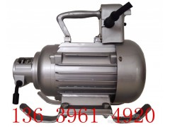 安振牌插入式振动电机ZN70G 2.2kw 混凝土振动棒图2