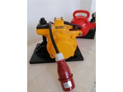 安阳安振牌GZF150节段粱用快装式高频振动器功率1.5kw图3