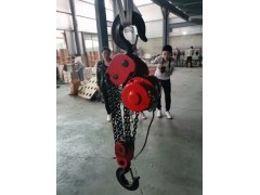 30吨15吨4米6米电动倒链厂家图1