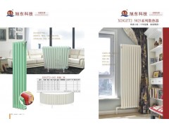 旭东暖气 钢二柱散热器 5025图1