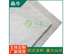 洛阳护坡园林绿化土工布量大从优图1