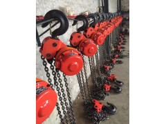 批发电动倒链30吨25米电动葫芦厂家图片图1