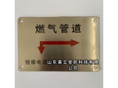 供应地贴式燃气地面走向牌 粘贴式胶皮标牌规格图5