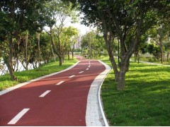 龙岗广场路面沥青工程图1