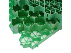 护坡防滑绿化种植塑料植草格量大从优图3