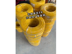 厂家直销地埋管道示踪线 铜包钢金属示踪线 燃气示踪线批发图2