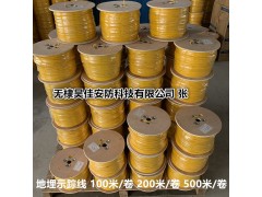 厂家直销地埋管道示踪线 铜包钢金属示踪线 燃气示踪线批发图5