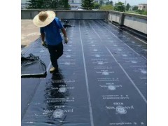 广州白云区楼面漏水维修,楼面整体做防水图1